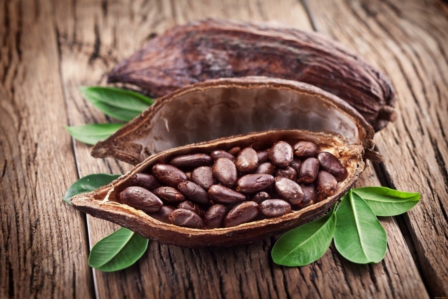 Russia has started buying cocoa beans from Turkey