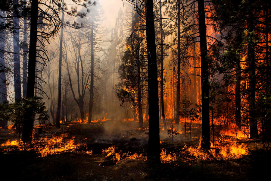 The situation with forest fires in Russia is predicted to worsen