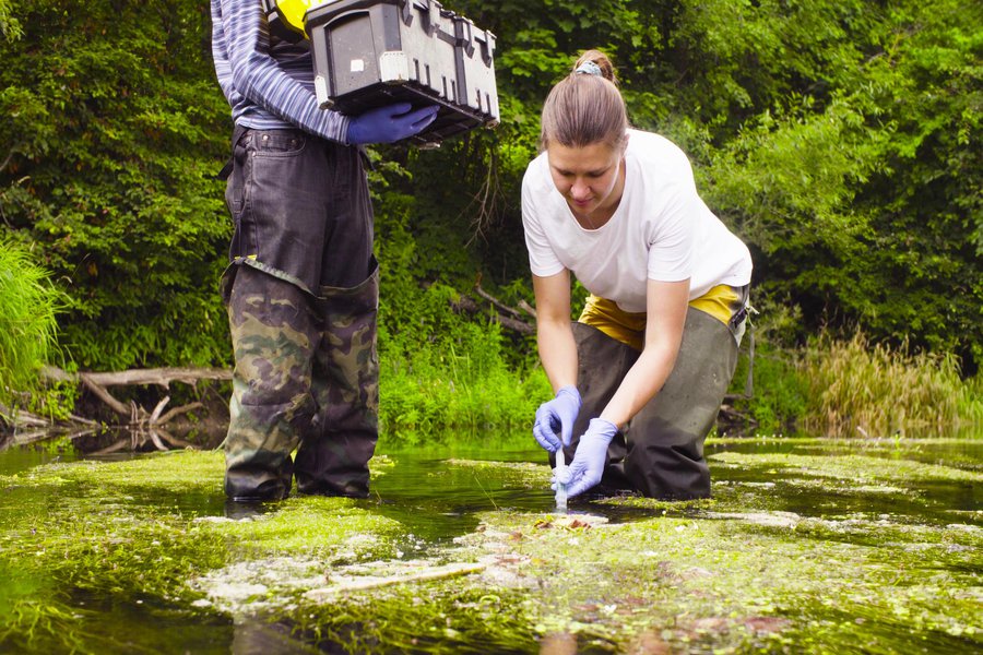 Salaries of environmentalists in Russia have risen sharply