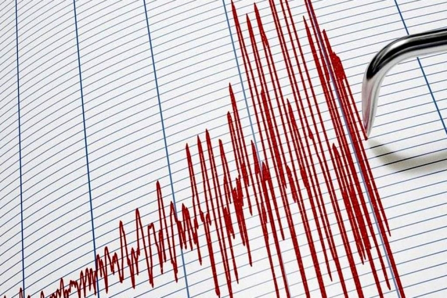 A 5.6 magnitude earthquake was recorded off the coast of New Zealand