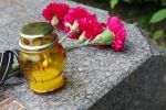 гвоздики на могильной плите