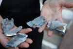 осколки снарядов